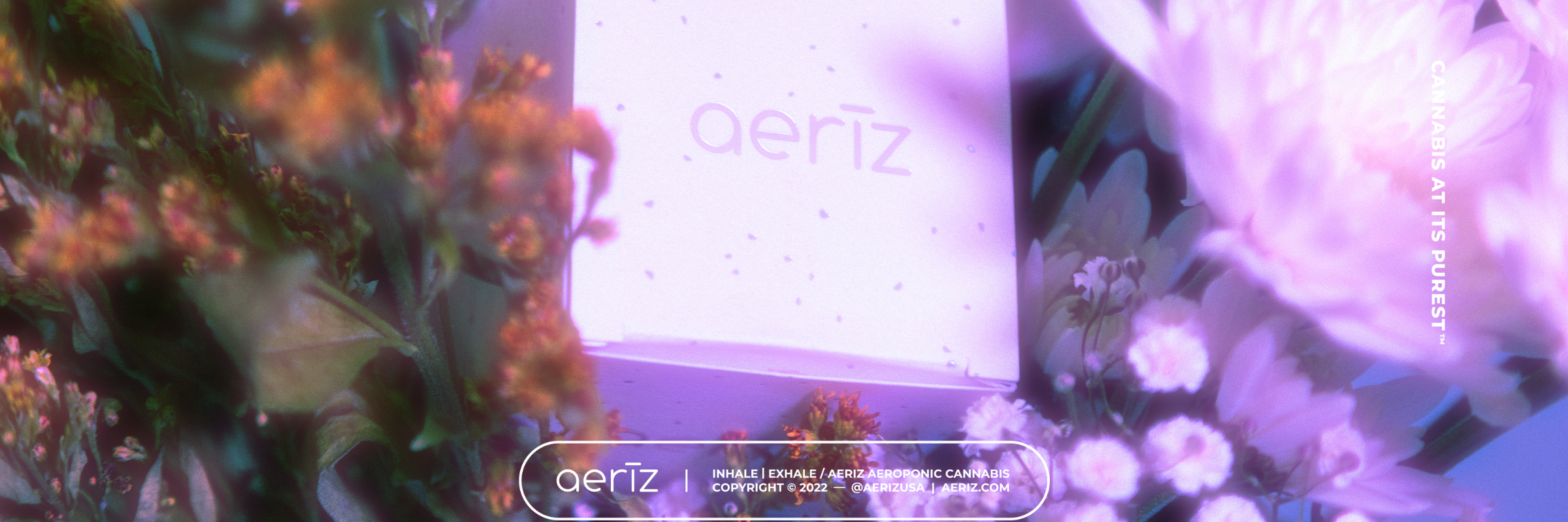 AERIZ Webpage banners Official